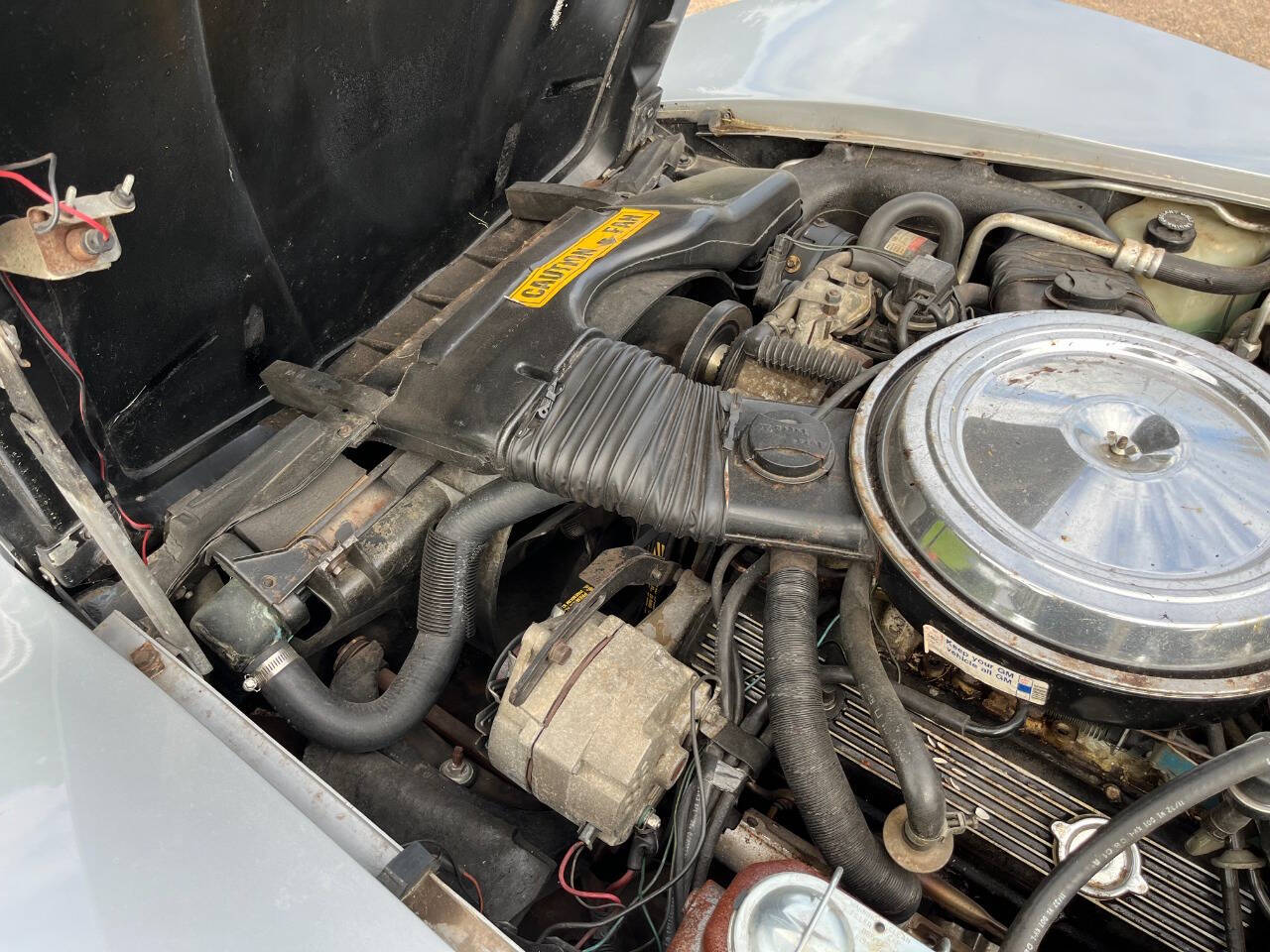 1981 Chevrolet Corvette 13