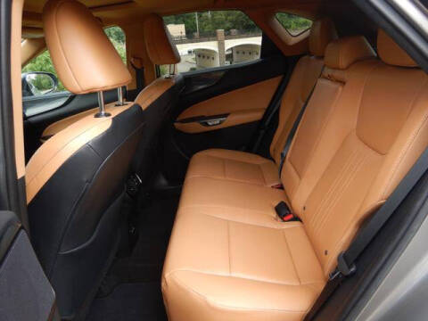 2023 Lexus NX 350 Premium