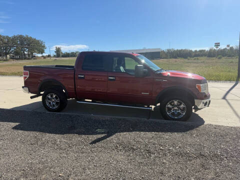 2014 Ford F-150 for sale at Grace Motors LLC in Sullivan MO