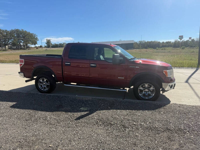 2014 Ford F-150 for sale at Grace Motors LLC in Sullivan MO