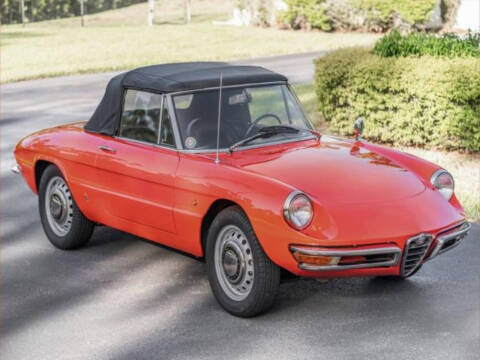 1966 Alfa Romeo Spider