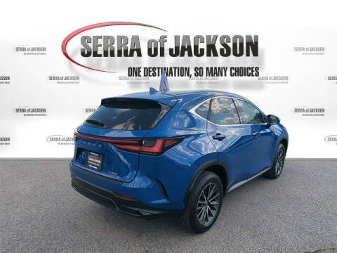 2025 Lexus NX 250