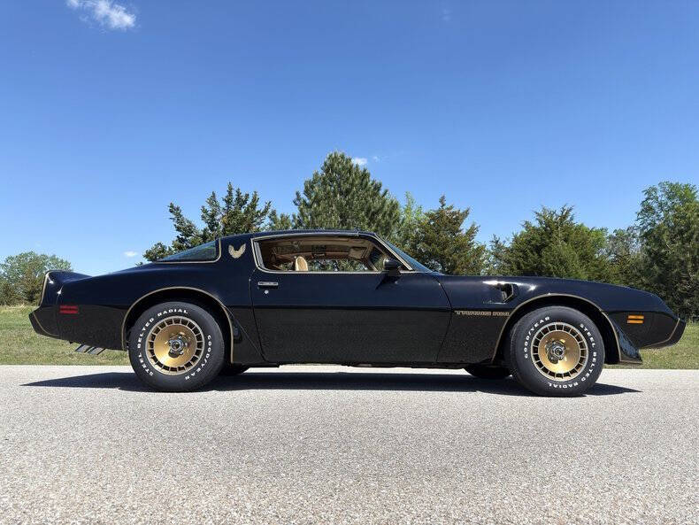 1981 Pontiac Firebird Trans Am