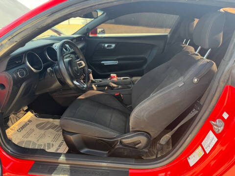 2019 Ford Mustang