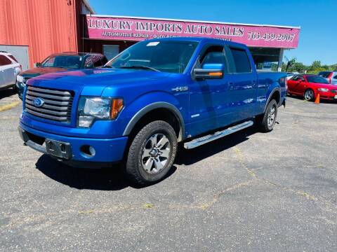2011 Ford F-150 for sale at LUXURY IMPORTS AUTO SALES INC in North Branch MN