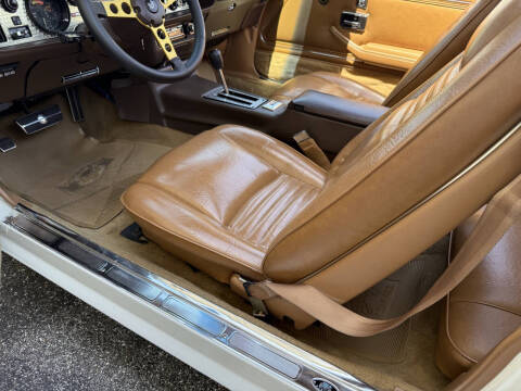 1981 Pontiac Firebird Trans Am