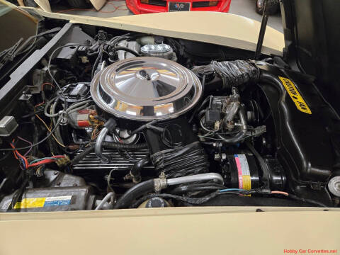 1981 Chevrolet Corvette