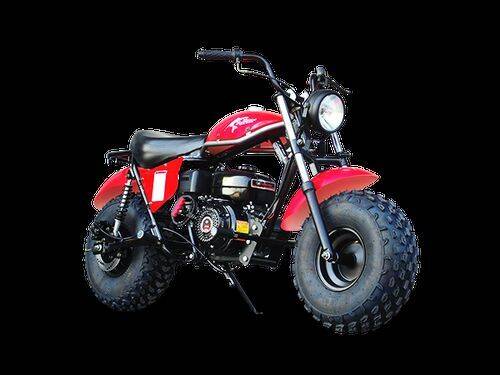 1900 TRAILMASTER MINI BIKE for sale at VICTORY AUTO in Lewistown PA