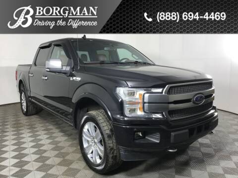 2019 Ford F-150 for sale at BORGMAN OF HOLLAND LLC in Holland MI