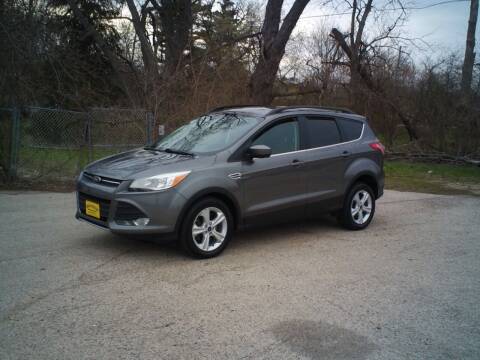 2014 Ford Escape for sale at BestBuyAutoLtd in Spring Grove IL