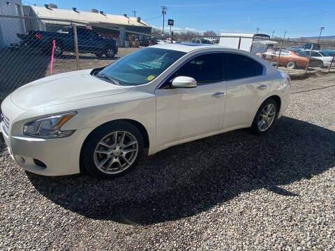 2010 Nissan Maxima for sale at The Car Lot in Delta CO