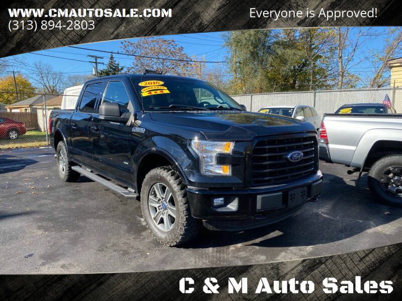 2016 Ford F-150 for sale at C & M Auto Sales in Detroit MI