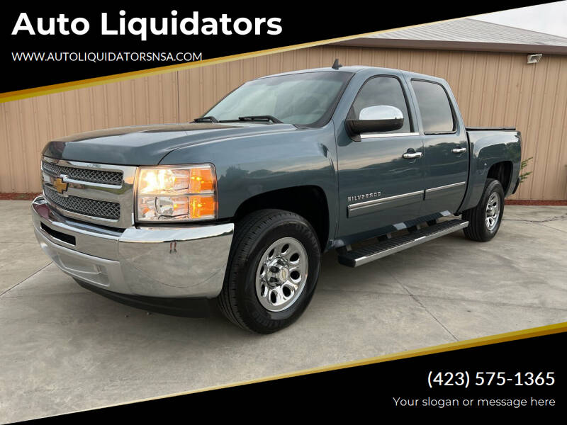 2013 Chevrolet Silverado 1500 for sale at Auto Liquidators in Bluff City TN