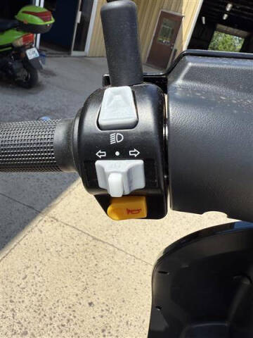 2025 Icebear ACEND BELLA