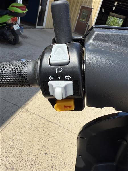 2025 Icebear ACEND BELLA