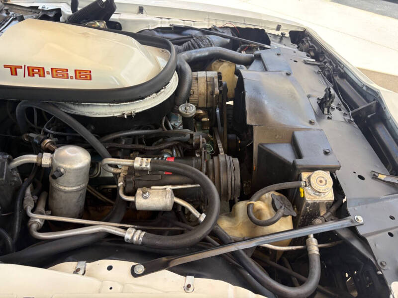 1979 Pontiac Firebird
