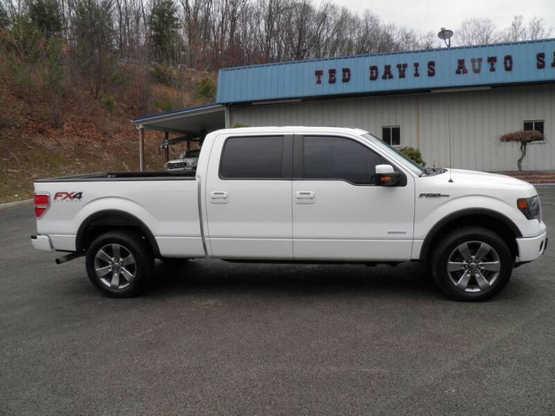 2014 Ford F-150 for sale at Ted Davis Auto Sales in Riverton WV