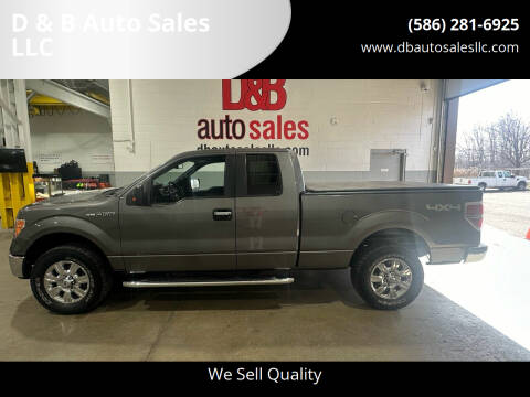 2012 Ford F-150 for sale at D & B Auto Sales LLC in Harrison Township MI