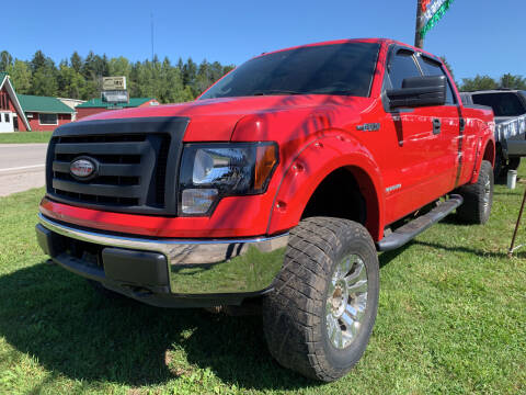 2012 Ford F-150 for sale at CARS R US in Caro MI