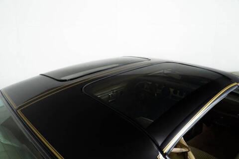 1981 Pontiac Trans Am