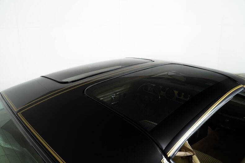 1981 Pontiac Trans Am