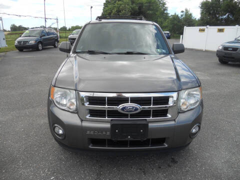 2011 Ford Escape XLT