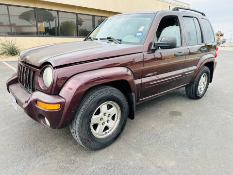 2004 Jeep Liberty for sale at Race Auto Sales in San Antonio TX