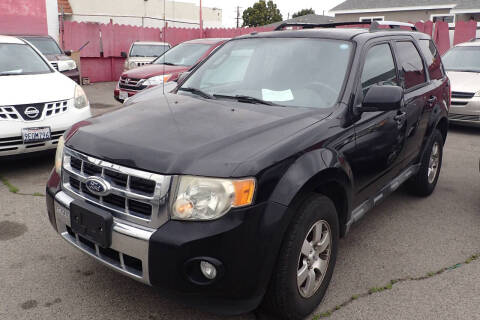 2010 Ford Escape Limited