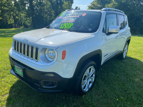 2015 Jeep Renegade for sale at FREDDY'S BIG LOT in Delaware OH