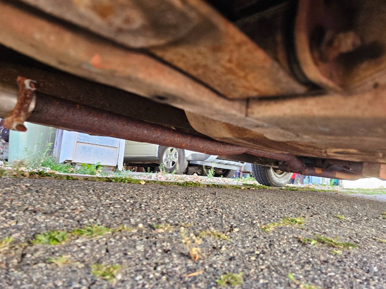 1964 Ford Mustang 201