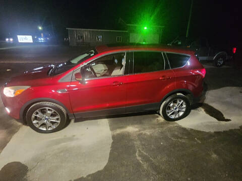 2013 Ford Escape for sale at Zimmer Auto Sales in Lexington MI