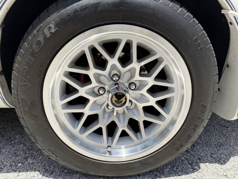 1981 Pontiac Firebird Trans Am