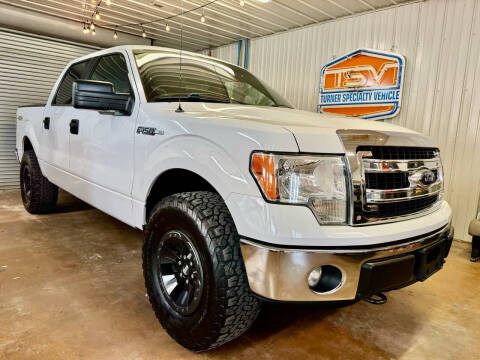 2014 Ford F-150 for sale at Turner Specialty Vehicle in Holt MO