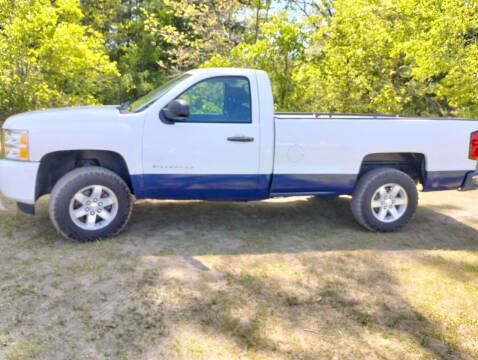 2010 Chevrolet Silverado 1500 for sale at Expressway Auto Auction in Howard City MI
