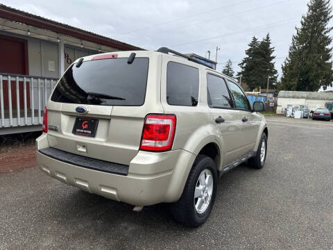2010 Ford Escape XLT