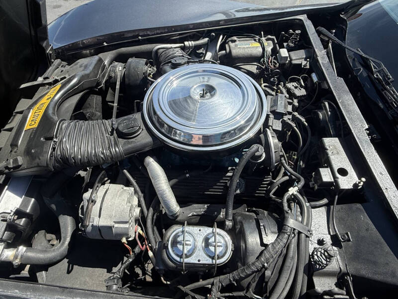 1981 Chevrolet Corvette