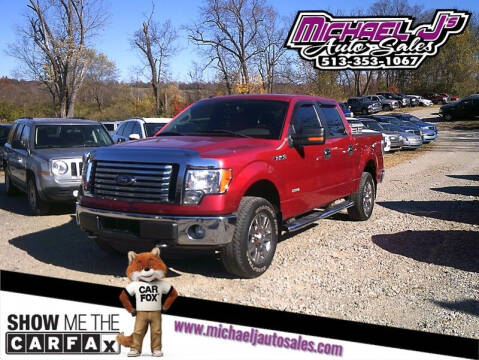 2012 Ford F-150 for sale at MICHAEL J'S AUTO SALES in Cleves OH