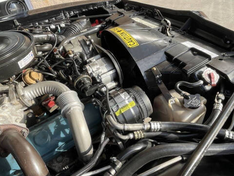 1981 Pontiac Firebird Trans Am