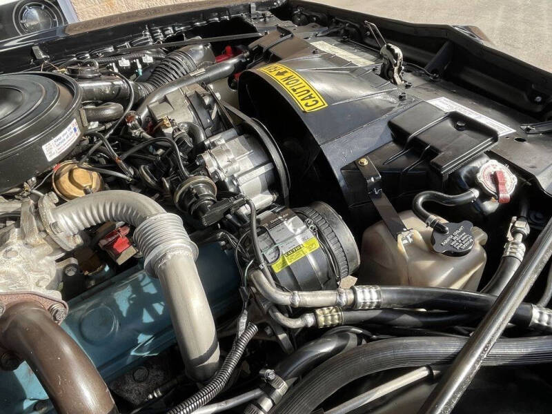 1981 Pontiac Firebird Trans Am