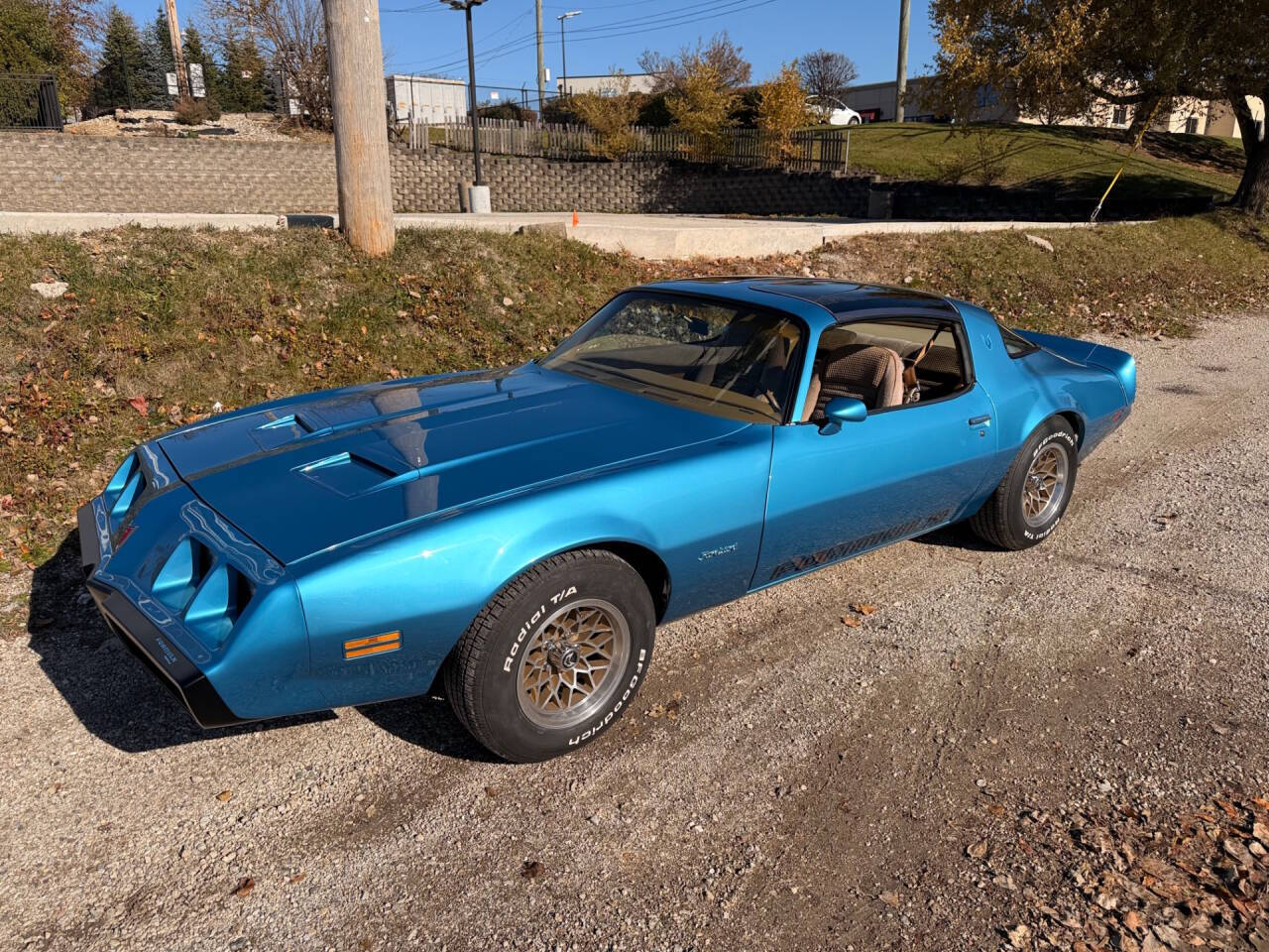 1979 Pontiac Firebird 2