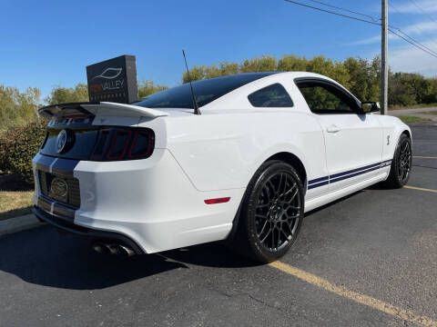 2014 Ford Shelby GT500