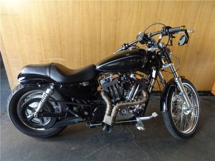 Harley-Davidson Sportster 1200 Custom Image