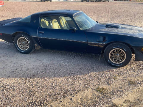 1981 Pontiac Firebird Trans Am