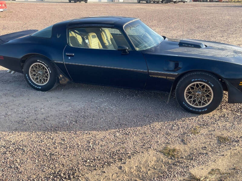 1981 Pontiac Firebird Trans Am