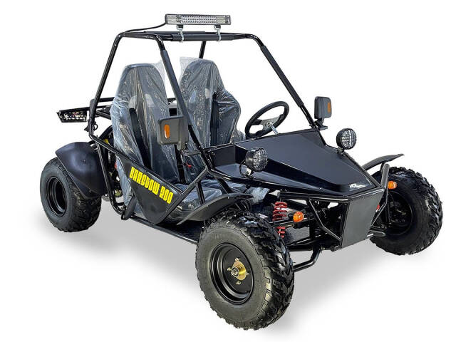 ICE BEAR BARSTOW 200CC GO KART Image