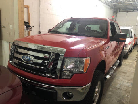 2009 Ford F-150 for sale at Cargo Vans of Chicago LLC in Bradley IL