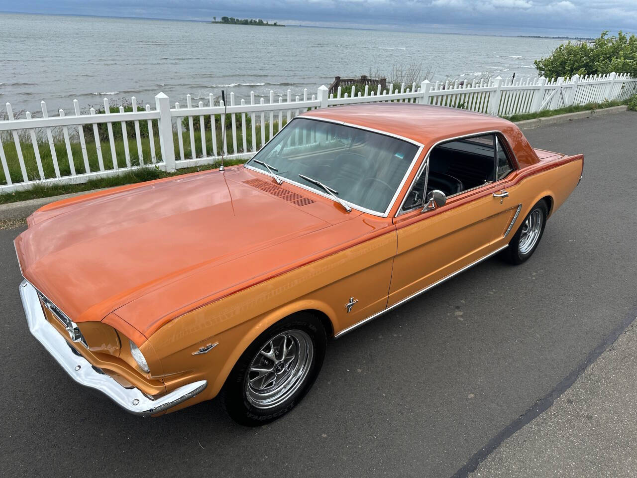 1965 Ford Mustang 56