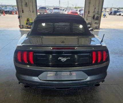 2019 Ford Mustang EcoBoost