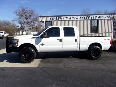 2014 Ford F-250 Super Duty for sale at Swanny's Auto Sales in Newton NC