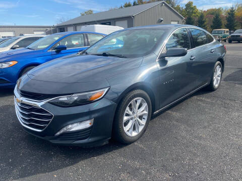 2019 Chevrolet Malibu for sale at Blake Hollenbeck Auto Sales in Greenville MI